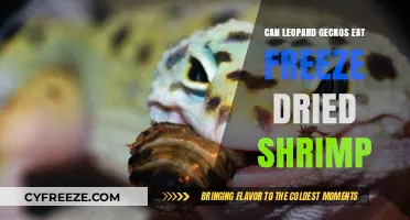 Exploring Leopard Gecko Diets: The Freeze-Dried Shrimp Debate