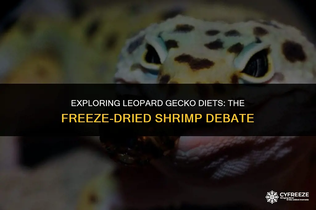 can leopard geckos eat freeze dried shrimp