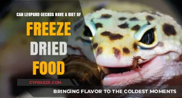 Exploring Freeze-Dried Diets for Leopard Geckos: A Nutritional Guide