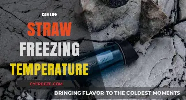 Can LifeStraw Handle Freezing Temps? Survival Gear Insights