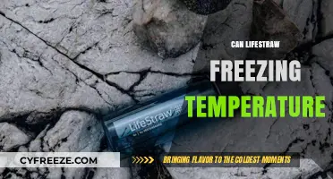 Can LifeStraw Handle Freezing Temps? Survival Gear Insights