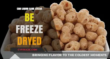 Exploring the Possibilities: Freeze-Drying Liquid Cane Sugar