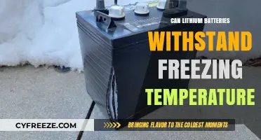 Lithium Batteries in Freezing Temps: Performance and Survival Guide