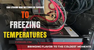 Freezing Temperatures and Lithium Iron Batteries: What You Need to Know