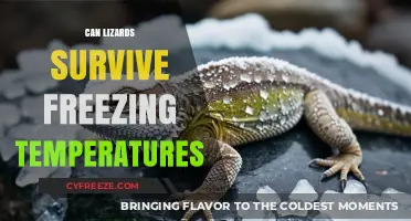 Can Lizards Survive Freezing Temperatures? Unveiling Cold-Blooded Resilience
