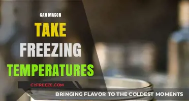 Can Mason Jars Withstand Freezing Temps? A Complete Guide