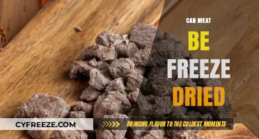 Exploring the Possibilities: Can Meat Be Freeze-Dried?
