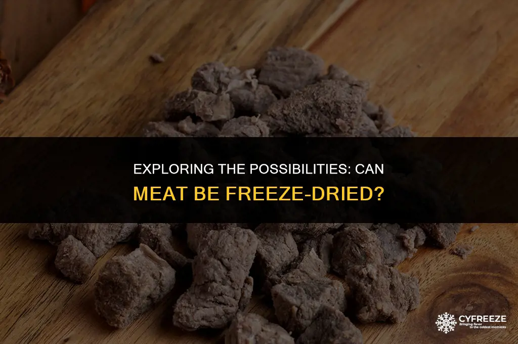 can meat be freeze dried