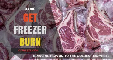 Can Meat Get Freezer Burn? Causes, Prevention, and Safe Storage Tips