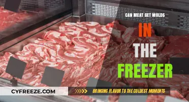 Can Meat Mold in the Freezer? Facts and Prevention Tips
