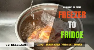 Thawing Safely: Can You Move Meat from Freezer to Fridge?