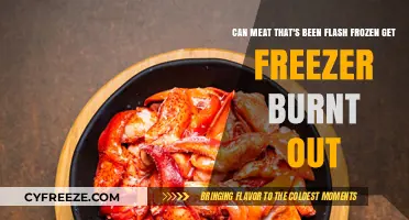 Flash Frozen Meat: Does It Still Risk Freezer Burn?