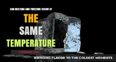 Melting and Freezing: Can They Coexist at the Same Temperature?
