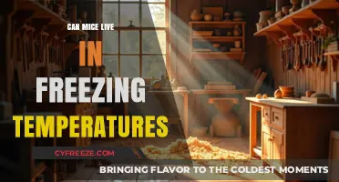 Surviving the Cold: Can Mice Endure Freezing Temperatures?