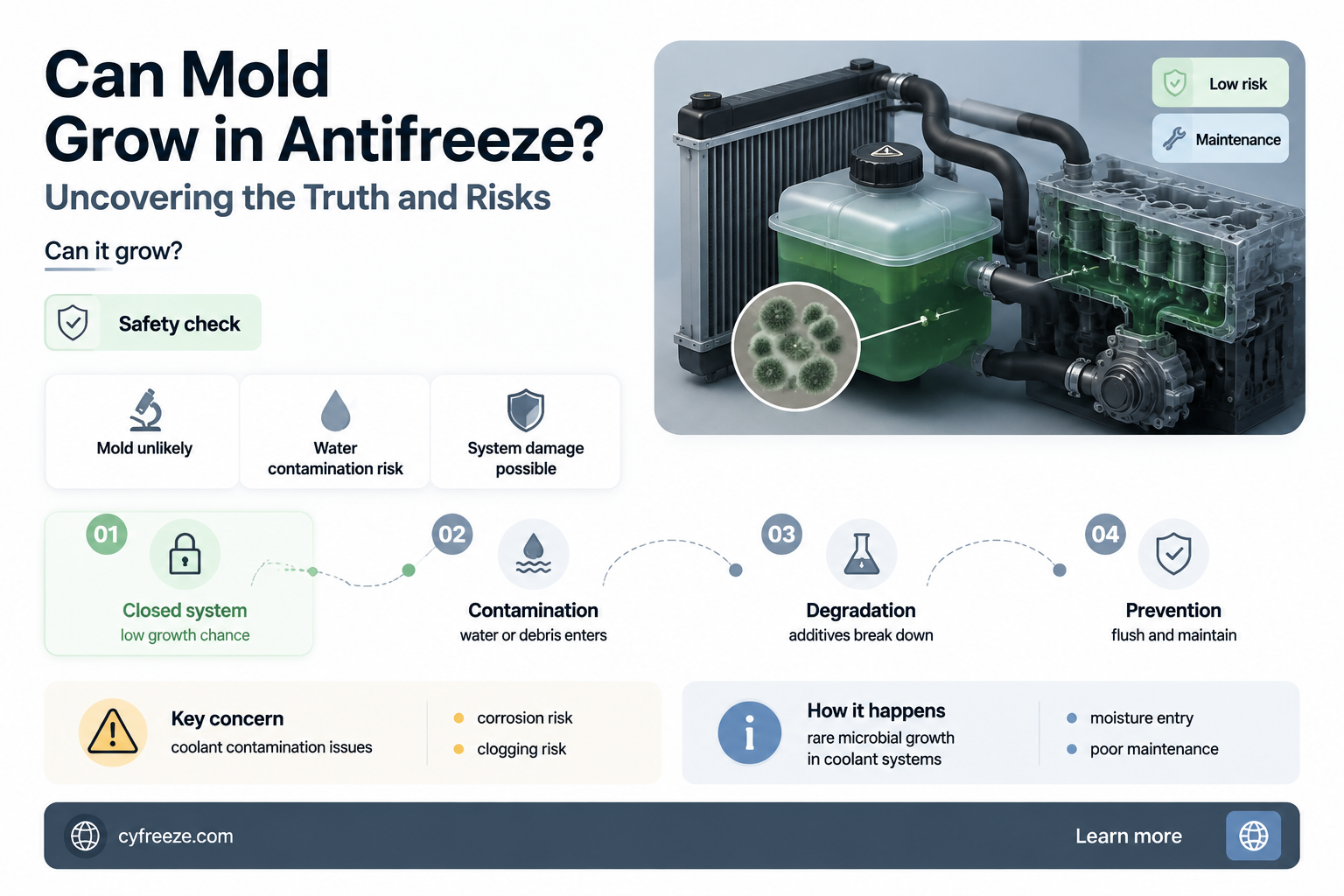 can you get mold in anti freeze
