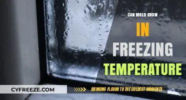 Can Mold Survive and Grow in Freezing Temperatures? The Truth Revealed