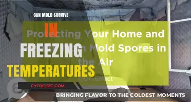 Can Mold Survive in Freezing Temperatures? Shocking Truth Revealed