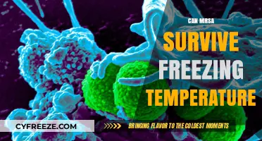 Can MRSA Survive Freezing Temperatures? Uncovering the Truth About Cold Resistance