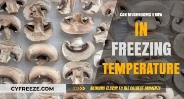 Can Mushrooms Thrive in Freezing Temperatures? Surprising Facts Revealed