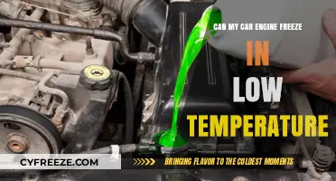 Can Extreme Cold Weather Cause Your Car Engine to Freeze?