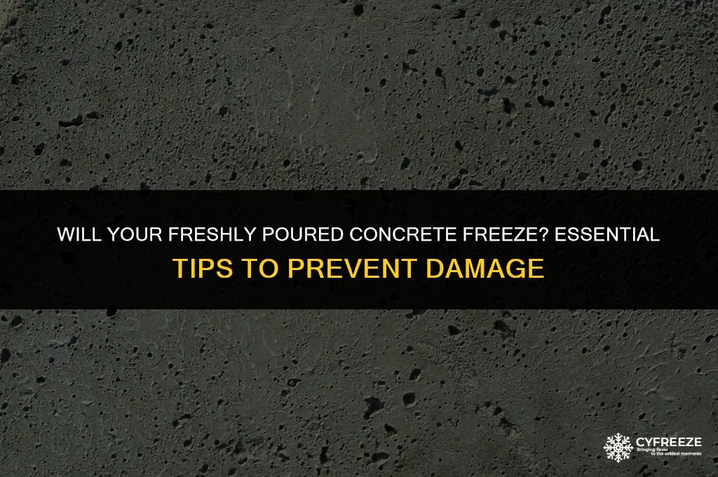 can my freshly poured concrete freeze