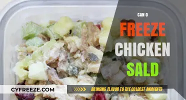 Chill Out: The Ultimate Guide to Freezing Chicken Salad Safely