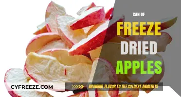 Revive the Crunch: Exploring the World of Freeze-Dried Apples