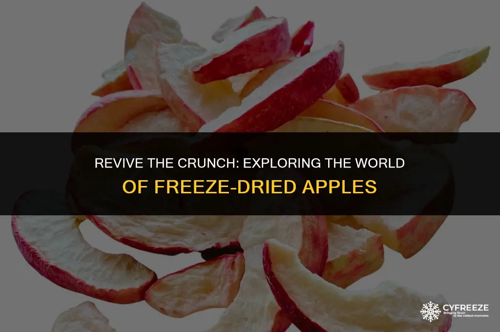 can of freeze dried apples