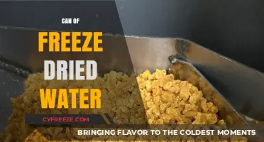 Reviving Refreshment: The Convenience of Freeze-Dried Water