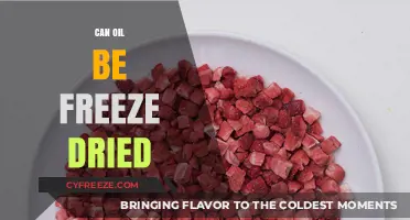 Exploring the Science: Can Oil Be Freeze-Dried?