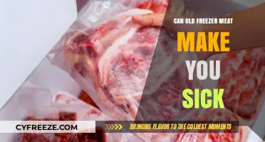 Reviving Frozen Delights: The Safety Scoop on Aging Freezer Meat