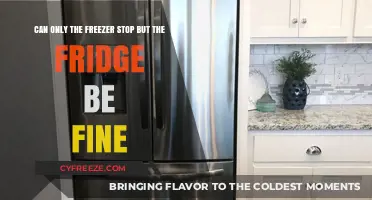 Can Your Freezer Be the Culprit While Your Fridge Remains Fine?
