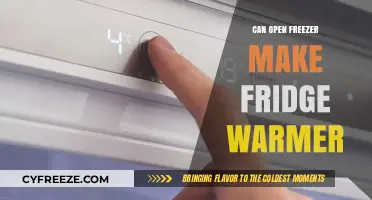 Does Opening the Freezer Make the Fridge Warmer? Let's Find Out!