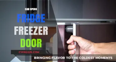 Chilly Surprises: When Your Can Opens the Fridge Freezer Door