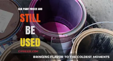 Can Frozen Paint Be Salvaged? Tips for Reusing Thawed Paint
