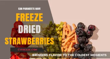 Sweet Treats for Your Feathered Friend: Freeze-Dried Strawberries for Parakeets?