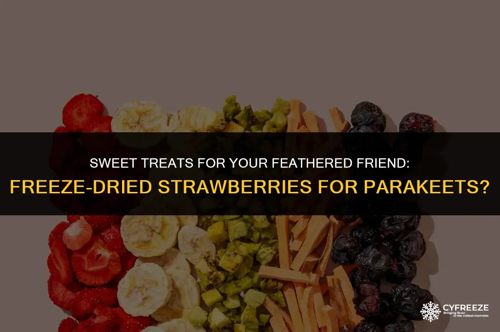 can parakeets have freeze dried strawberries