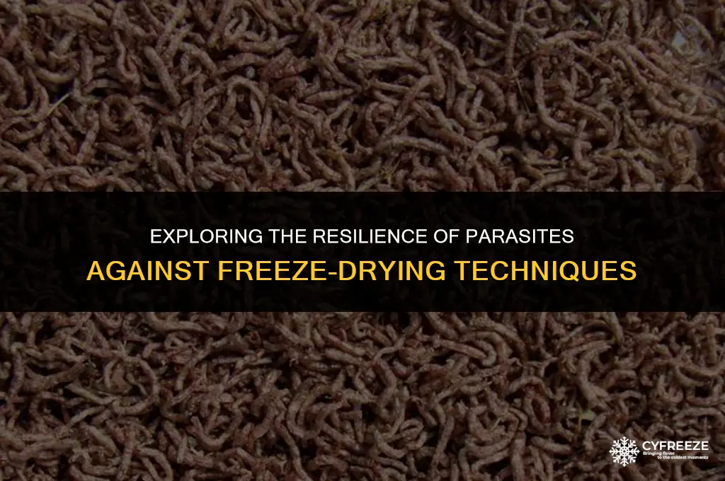 can parasites survive freeze drying
