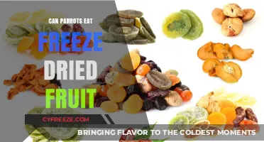 Exploring the Nutritional Benefits of Freeze-Dried Fruits for Parrots
