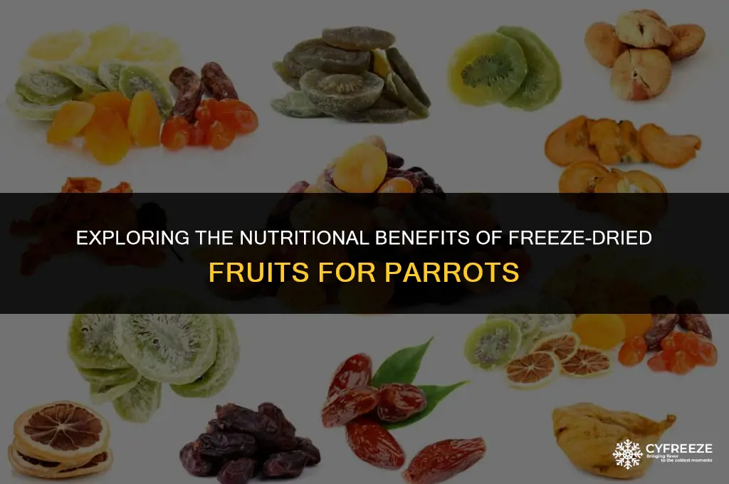 can parrots eat freeze dried fruit