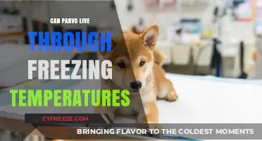 Can Parvo Survive Freezing Temperatures? Uncovering the Truth