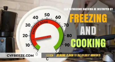 Chilling and Sizzling: The Ultimate Guide to Defeating Pathogenic Bacteria