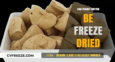 Exploring the Possibilities: Freeze-Drying Peanut Butter for Longevity