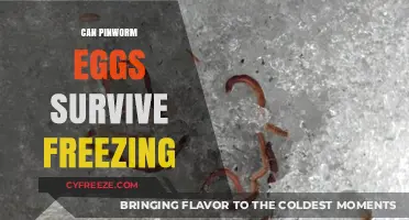 Can Pinworm Eggs Survive Freezing? Uncovering the Truth About Cold Resistance