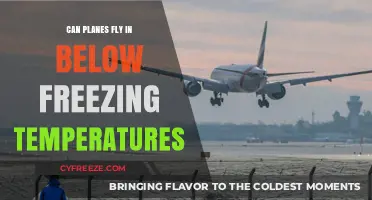 Can Planes Safely Navigate Below-Freezing Temperatures? Exploring Aviation Limits