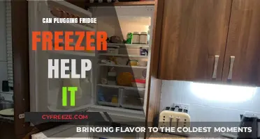 Eco-Friendly Cooling: Can Plugging in Your Fridge Freezer Boost Efficiency?