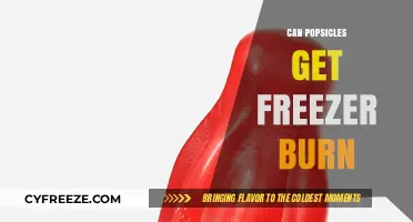 Can Popsicles Get Freezer Burn? The Chilling Truth Revealed