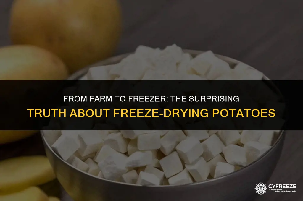 can potatoes be freeze dried