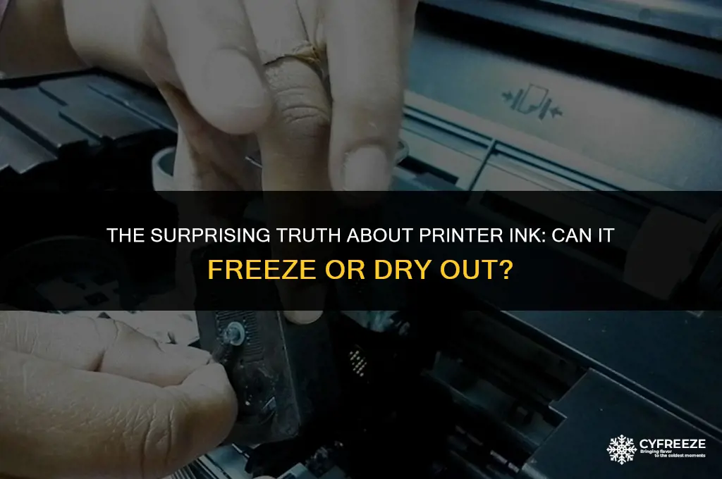 can printer ink freeze or dry out