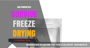 Preserving Gut Health: The Freeze-Drying Survival Guide for Probiotics